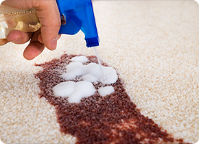 Upholstery Cleaning